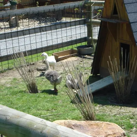 Saint Michel Courtils