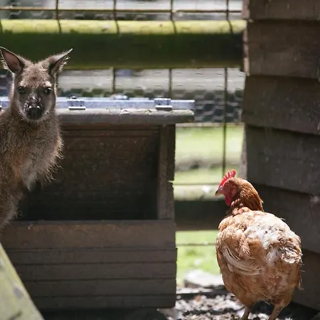 Saint Michel Camping 3*