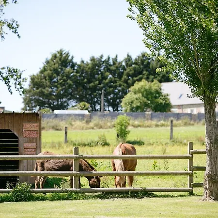 Saint Michel Camping Courtils