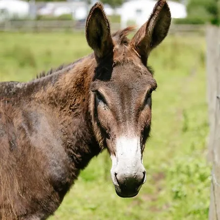 Saint Michel Courtils