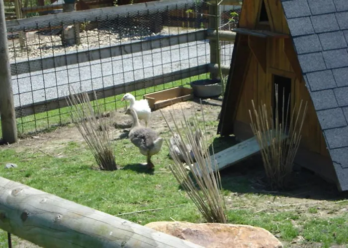 Saint Michel Courtils