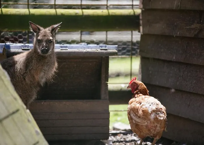 캠핑 생 미셸 캠프장 3*