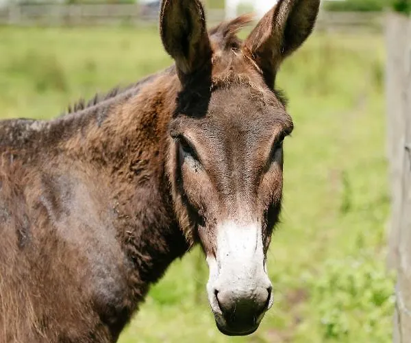 Saint Michel Courtils